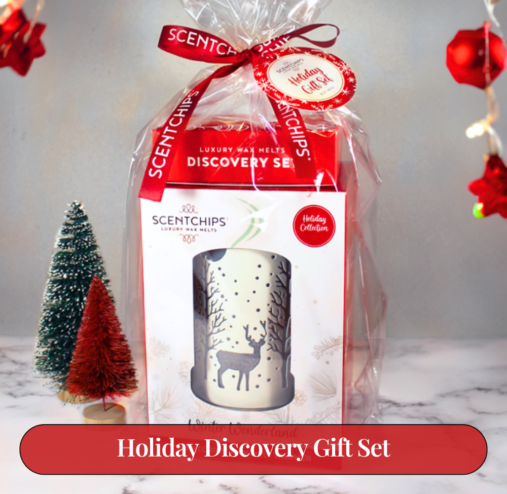 Holiday Discovery Gift Set