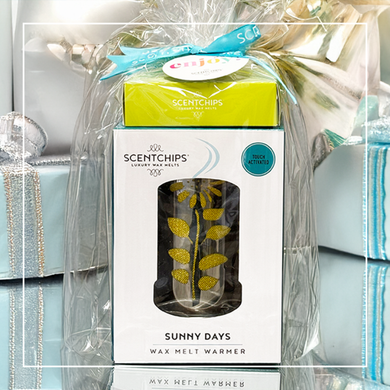 Warmer + Discovery Set