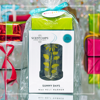 Warmer + Discovery Set