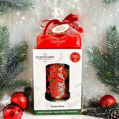 Holiday Discovery Gift Set
